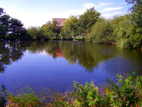 Dorfteich Westermarkelsdorf Dorfteich Westermarkelsdorf