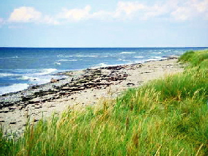Westermarkelsdorf Strand und Ostsee Westermarkelsdorf Strand und Ostsee