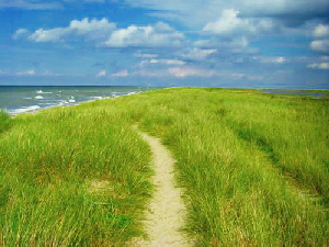 Westermarkelsdorf Dünen und Strand Westermarkelsdorf Dünen und Strand
